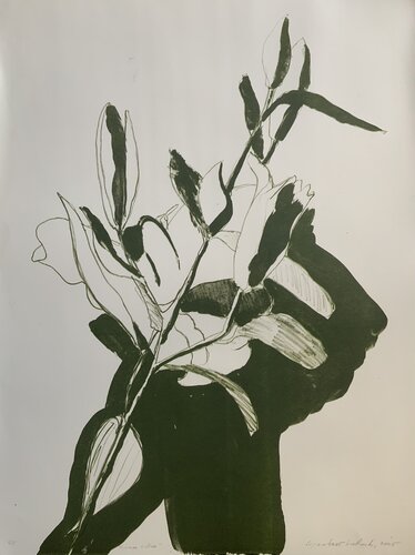 Lilies Opening von Gaetano LaRoche, Druck kaufen auf Singulart