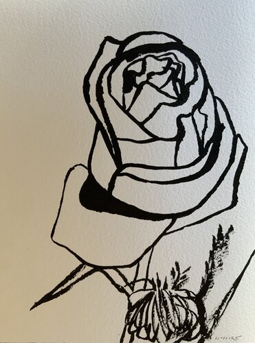 A Rose par Gaetano LaRoche, Dessin en vente sur Singulart