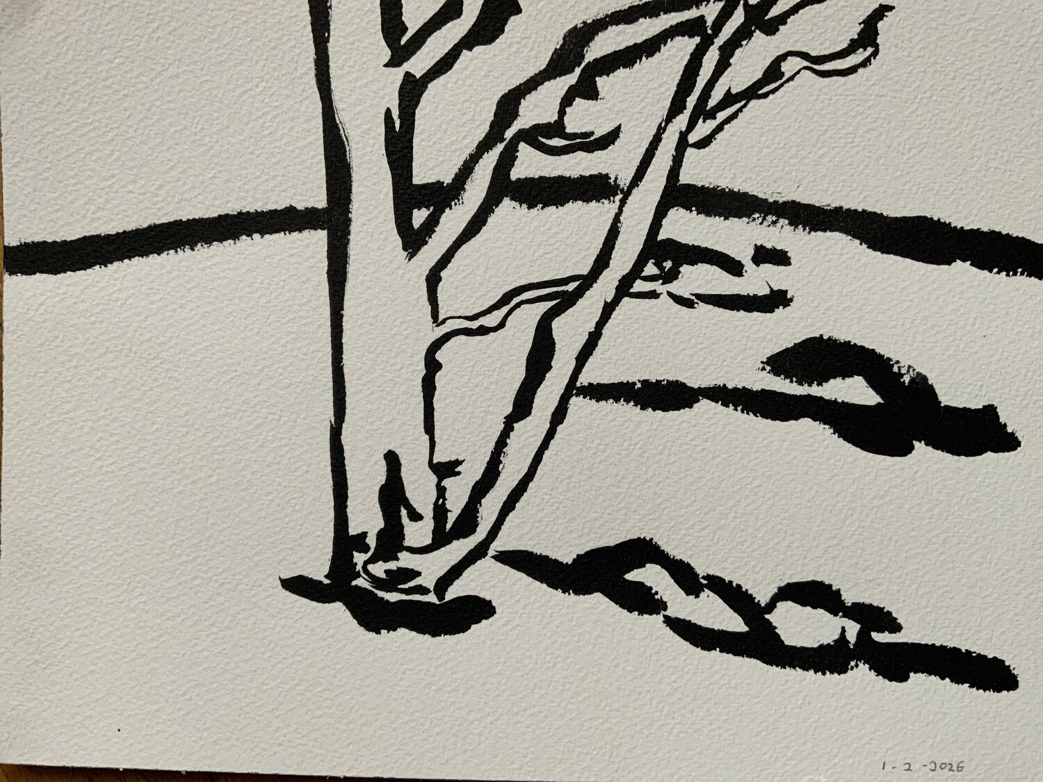 New Mexico Tree Gaetano LaRoche