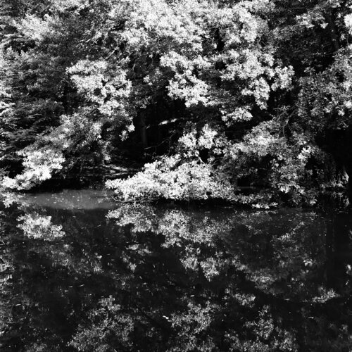 Reflection. Der grosse Garten. Dresden by Maike Siever, Photography for Sale on Singulart