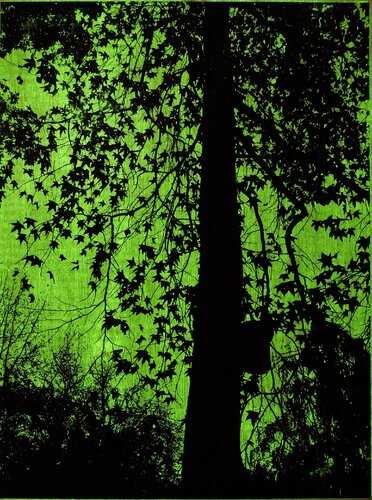 Sternenbaum, (Nachleuchtfarbe) by Jörg Hamann, Print for Sale on Singulart