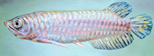 Rainbow Warrior - Arowana Fish Study by Roi Pajursky, Painting for Sale on Singulart