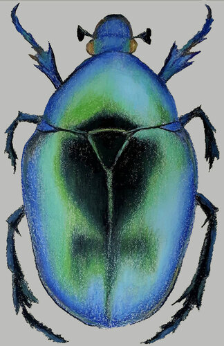 Iridescent Armor – Beetle Study by Roi Pajursky, Painting for Sale on Singulart
