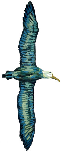 The Navigator: Albatross Allegory von Roi Pajursky, Malerei kaufen auf Singulart