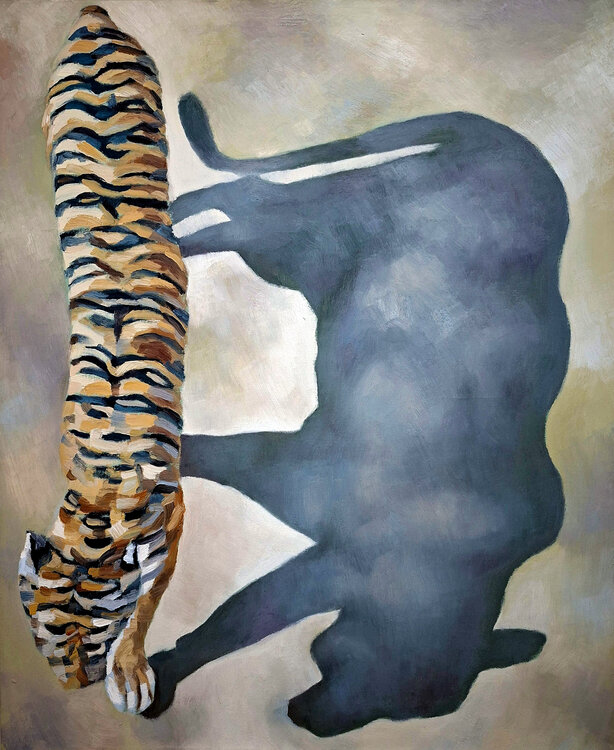 The Weight of a Shadow – Tiger Study Roi Pajursky
