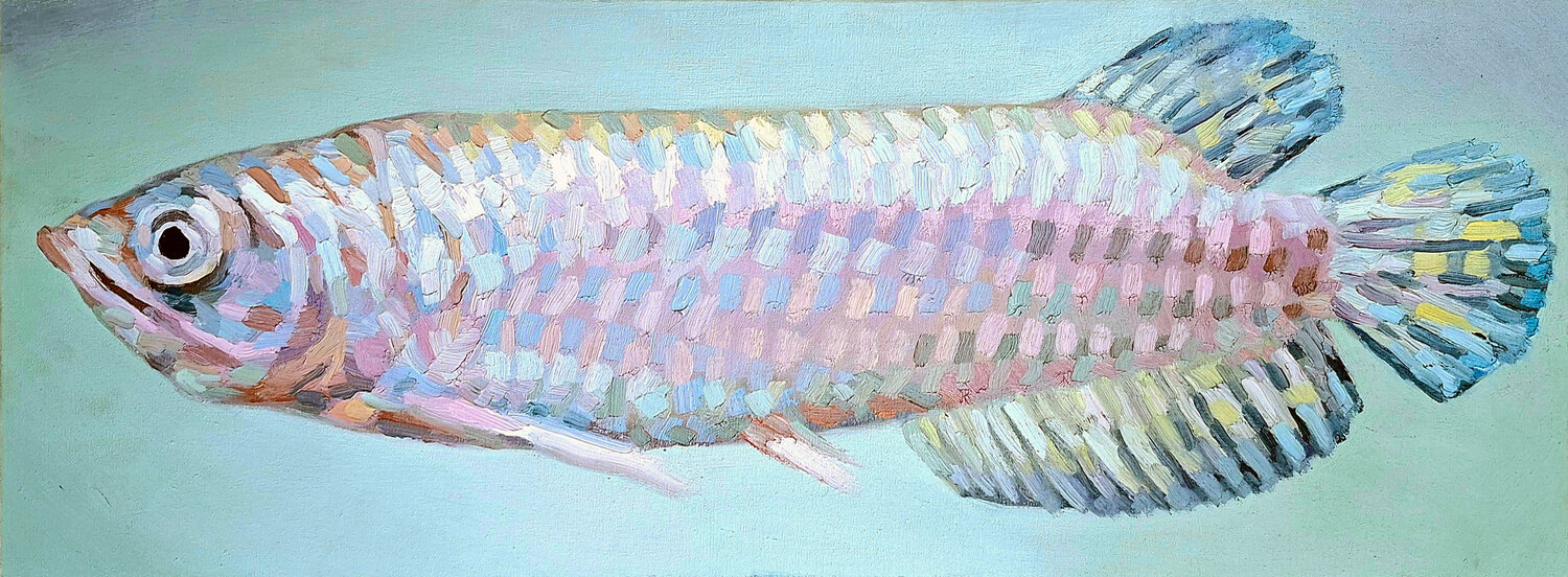 Rainbow Warrior - Arowana Fish Study Roi Pajursky