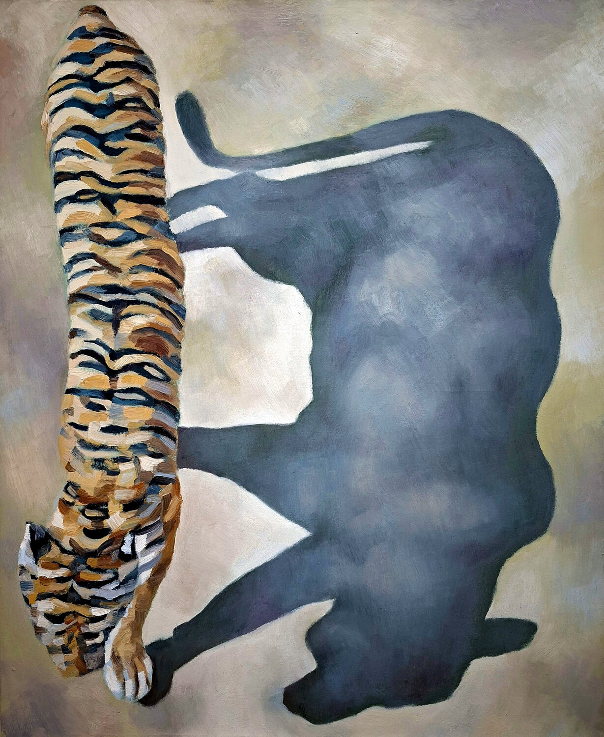 The Weight of a Shadow – Tiger Study Roi Pajursky