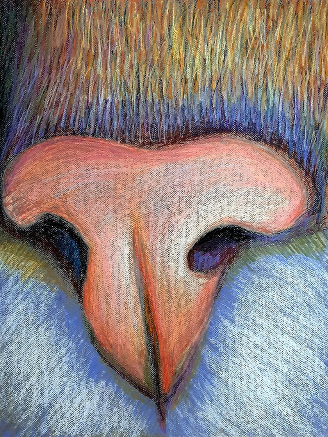 Sensual Anatomy: The Inquisitive Macro Roi Pajursky