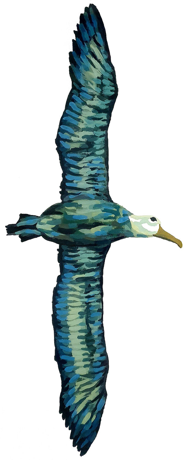 The Navigator: Albatross Allegory Roi Pajursky