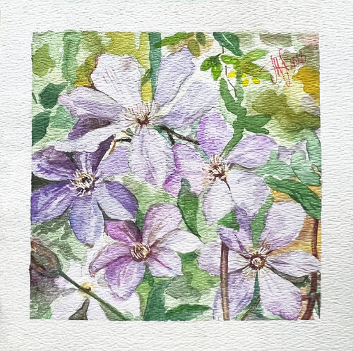 Lila Clematis Aquarell by Tatjana Perowa, Painting for Sale on Singulart
