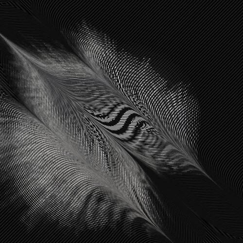 Frequenz der Stille par Mike Enenkel, Digital en vente sur Singulart
