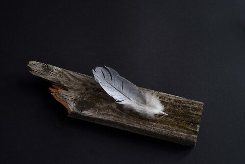 Wer schreibt, bleibt par georg eichinger, Photographie en vente sur Singulart