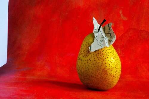 Die Lust wird verwaltet par georg eichinger, Photographie en vente sur Singulart