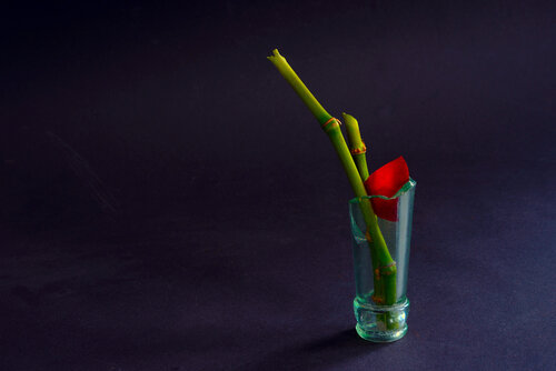 Ich denke oft an dich by georg eichinger, Photography for Sale on Singulart