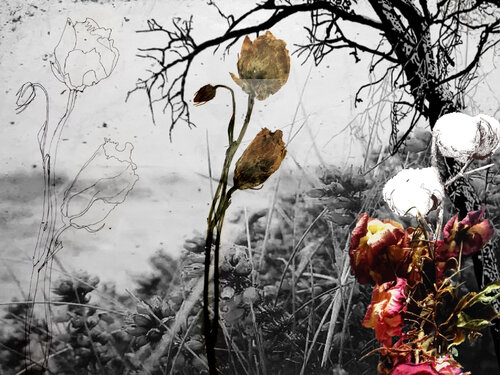 Nature complexe von Pascal SIEJA, Digital kaufen auf Singulart