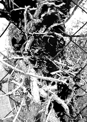l'arbre von Pascal SIEJA, Digital kaufen auf Singulart