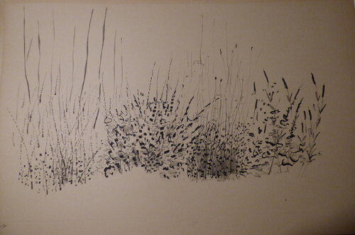 Ajoncs par Jean-Pierre Villeneuve, Dessin en vente sur Singulart