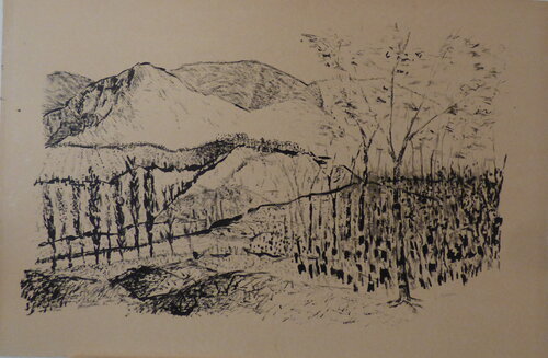 colline par Jean-Pierre Villeneuve, Dessin en vente sur Singulart