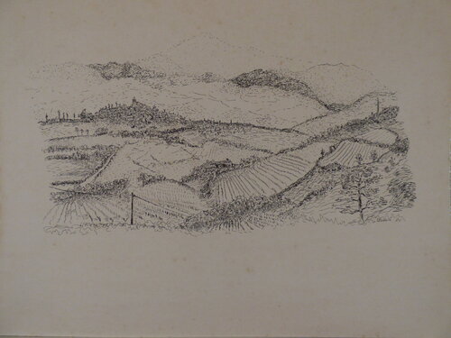 colline par Jean-Pierre Villeneuve, Dessin en vente sur Singulart