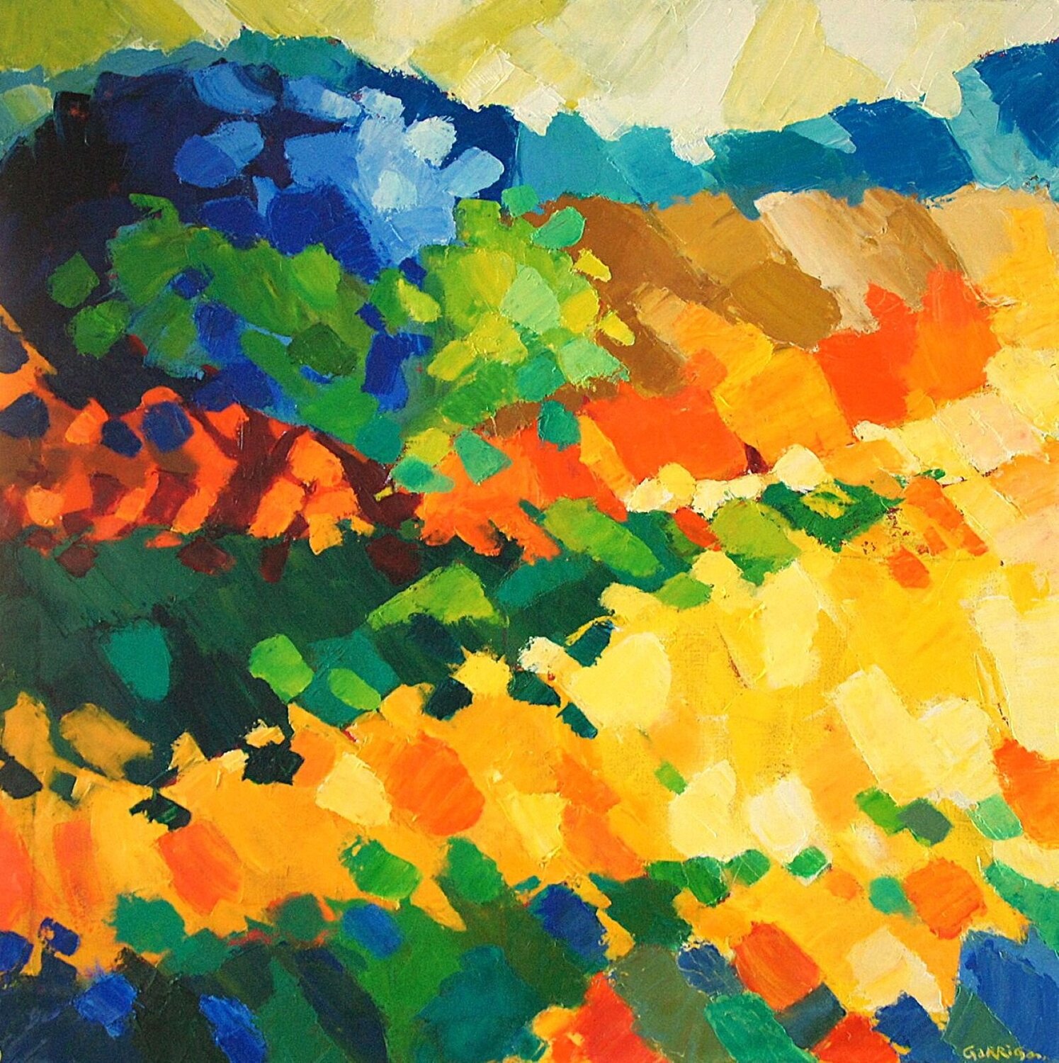 Château Gaillard, le champs Joel Garriga