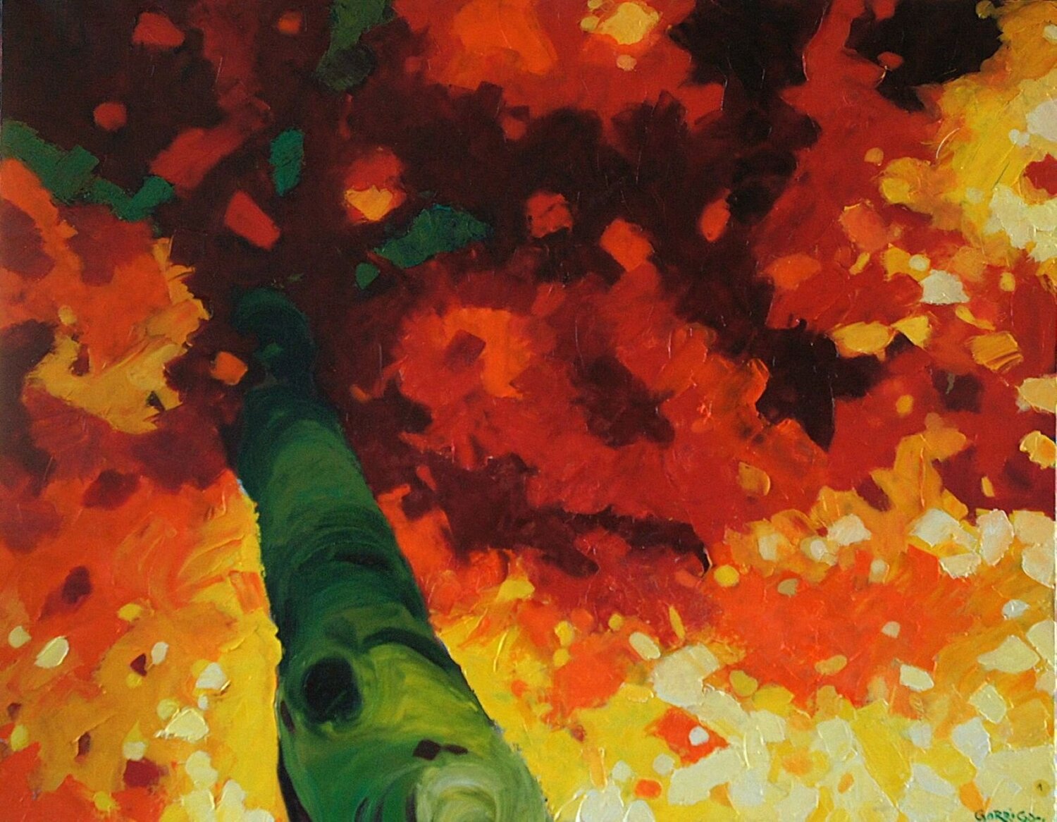 Scintillements Joel Garriga