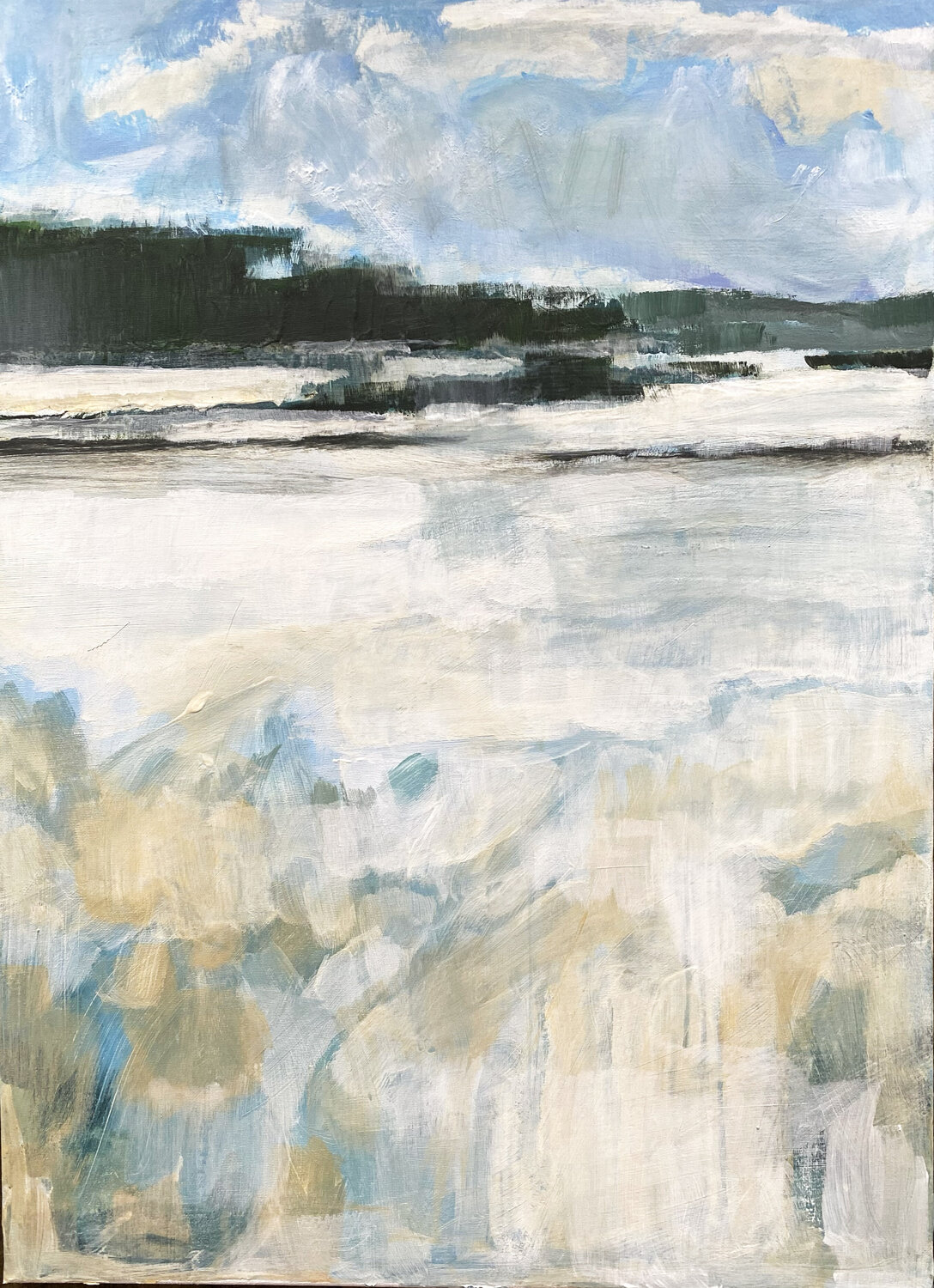 Snowfield 1 Martin Scharf