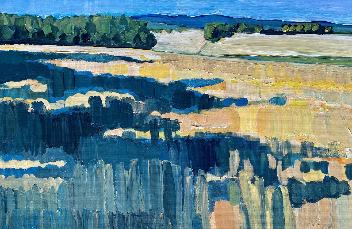 Summer Shadow Martin Scharf