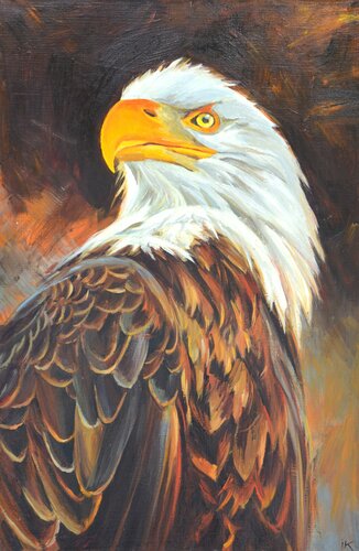Bald eagle. van Iryna Kastsova, Schilderij te koop op Singulart