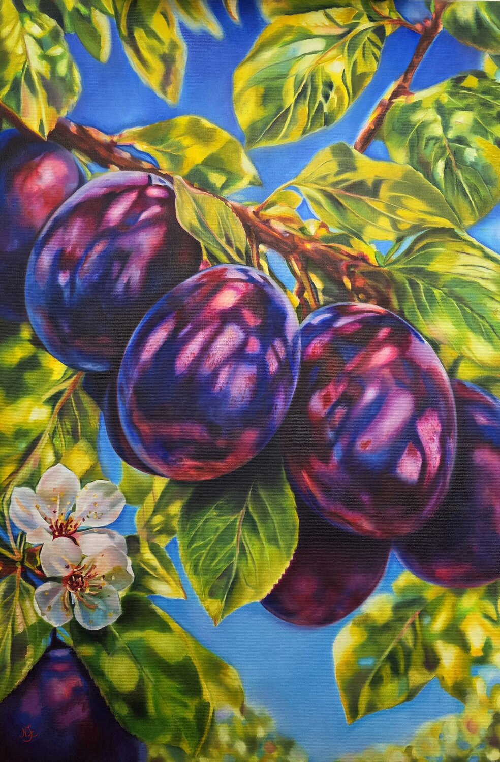 Plums in the sunlight Szilvia Németh