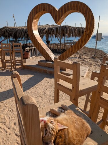 Orange Bay, Ägypten by Harald Hauswald, Photography for Sale on Singulart