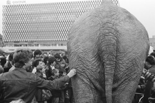 Der Zirkus ist in der Stadt van Harald Hauswald, Fotografie te koop op Singulart
