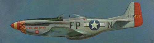 P-51 de Claude Delamarre, Pintura a la venta en Singulart