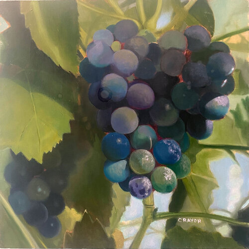 Vibrant Grapes van Dennis Crayon, Schilderij te koop op Singulart