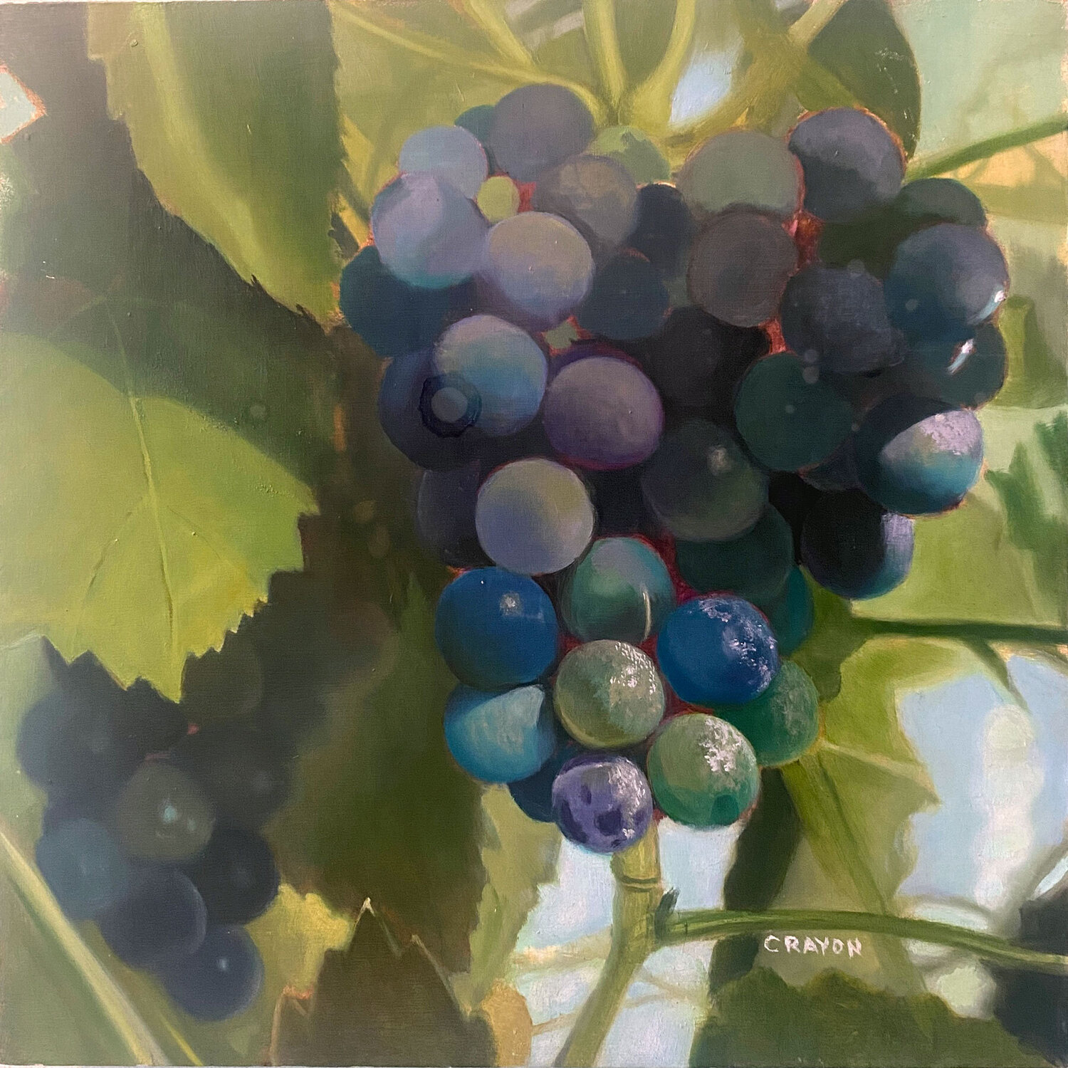 Vibrant Grapes Dennis Crayon