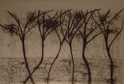 Les arbres by Pascal Maffre, Drawing for Sale on Singulart