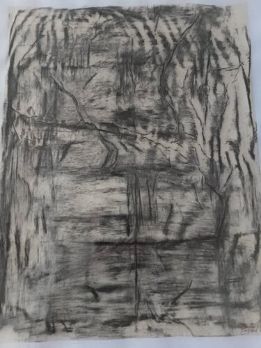 Paysage de Pascal Maffre, Obra en papel a la venta en Singulart
