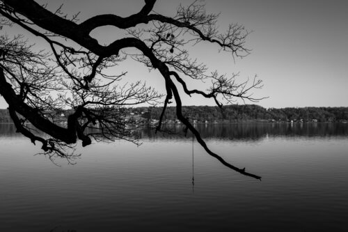 A MOMENT OF STILLNESS IV von Franziska Elena Spiller, Fotografie kaufen auf Singulart