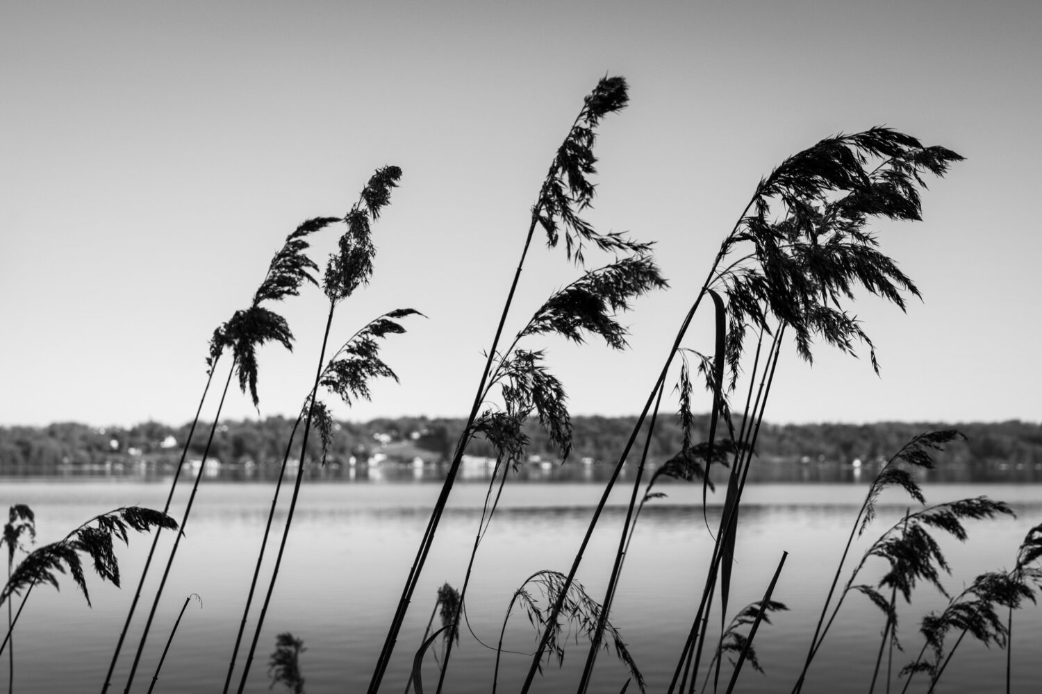 A MOMENT OF STILLNESS II Franziska Elena Spiller Fotografie zu verkaufen