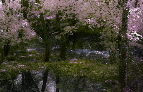 REVALUAR LA LUZ by José Luis Hernández Rodríguez, Photography for Sale on Singulart