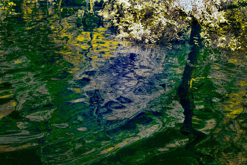 REVALUAR LA LUZ by José Luis Hernández Rodríguez, Photography for Sale on Singulart