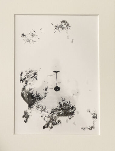 Water Reflecting Withered Lotus Blossoms von Yan Wang, Fotografie kaufen auf Singulart