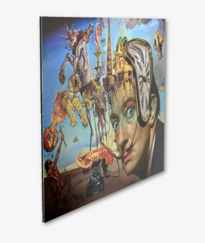 アート・デザイン・音楽 SALVADOR DALI The Making of an Artist アート・デザイン・音楽 SALVADOR DALI The Making of an Artist