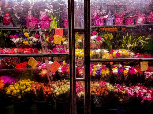 Flower Power Day Manhattan par Thomas Dellert, Édition en vente sur Singulart