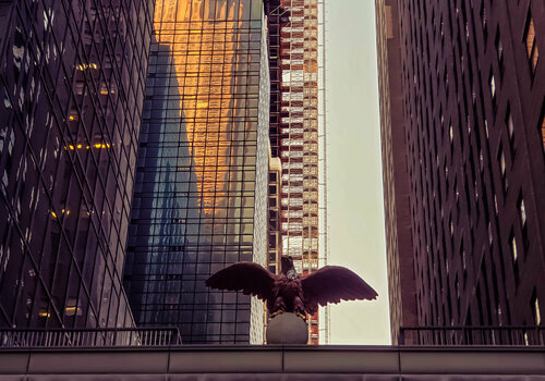 Manhattan Eagle Thomas Dellert