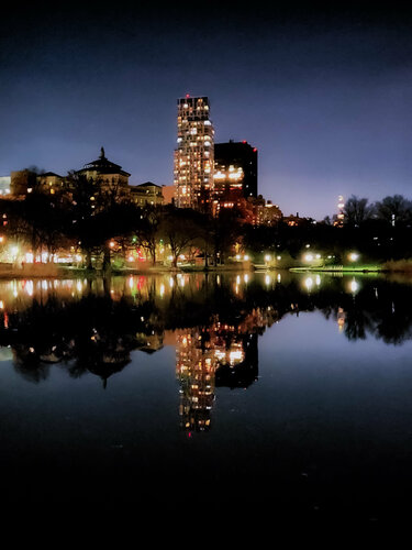Night in Central Park par Thomas Dellert, Édition en vente sur Singulart