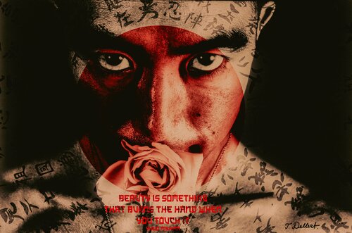 Mishima The Art of Beauty von Thomas Dellert, Druck kaufen auf Singulart