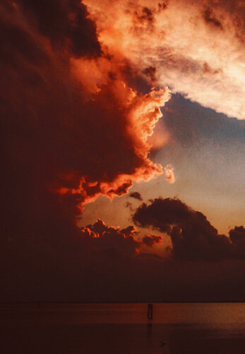 Venice Pink Sky von Thomas Dellert, Fotografie kaufen auf Singulart