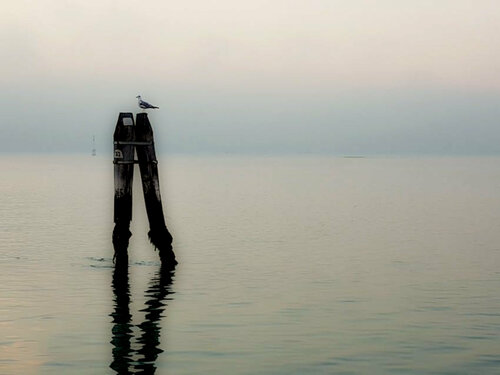 Alone too von Thomas Dellert, Fotografie kaufen auf Singulart