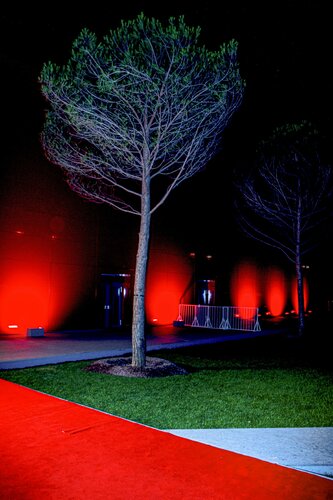 Venice Lido Film Festival par Thomas Dellert, Photographie en vente sur Singulart