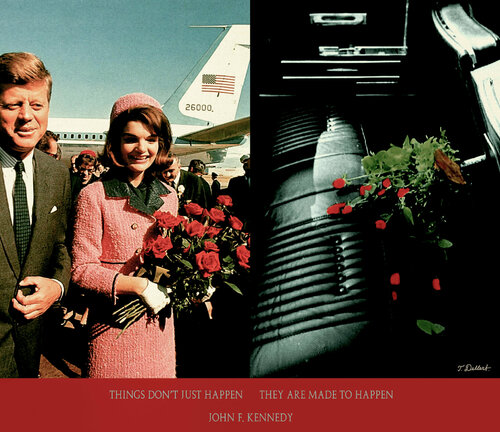 Roses for the First Lady Pullets for the President by Thomas Dellert, 사진 for Sale on Singulart